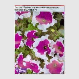Семена петунии крупноцветковой низкорослой «Фрост фиалова» F1, ТМ Cerny - 10 семян