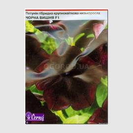 Семена петунии крупноцветковой низкорослой «Черная вишня» F1, ТМ Cerny - 5 семян