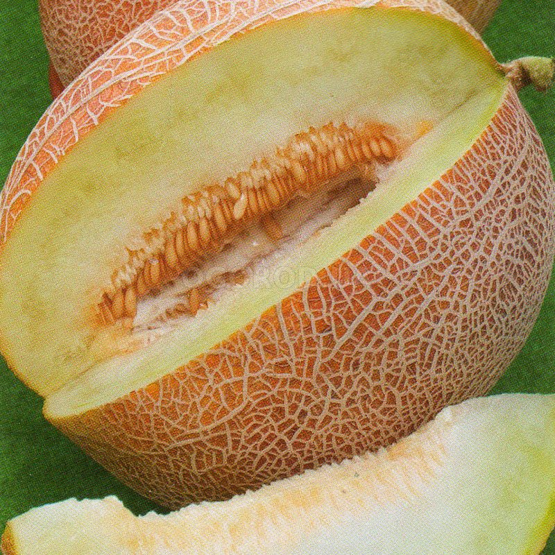 Кликните для увеличения изображения Семена дыни «Ананас» / Pineapple, ТМ Euroseed - 20 семян