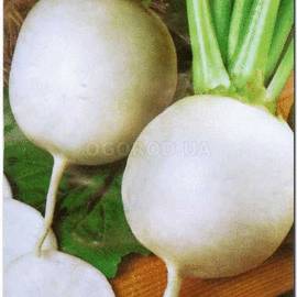 Семена редьки «Круглая белая», ТМ Sais - 5 грамм