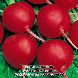 Семена редиса «Клария», ТМ Satimex - 1000 семян