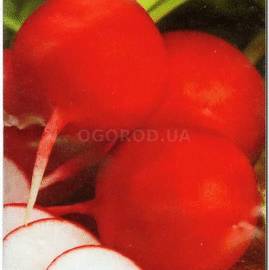 Семена редиса «Красный гигант», ТМ Sais - 5 грамм