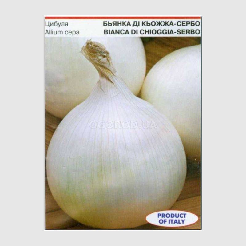 Кликните для увеличения изображения Семена лука «Бьянка ди Киожа-Сербо», ТМ Sais - 2 грамма