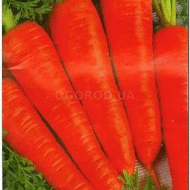Семена моркови «Осенняя Королева», ТМ Sais - 3 грамма