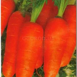 Семена моркови «Нью Курода», ТМ Sais - 2 грамма