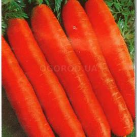Семена моркови «Ортолана», ТМ Sais - 3 грамма