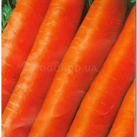 Семена моркови «Тушон», ТМ Sais - 3 грамма