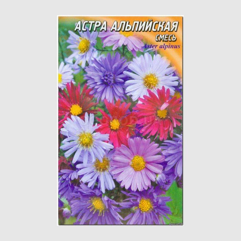Кликните для увеличения изображения Семена астры альпийской смесь, ТМ «ГЕЛИОС» - 0,1 грамм