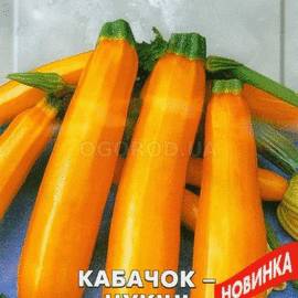 Семена кабачка «Атена полька» F1 (цукини), ТМ Seedera - 10 семян
