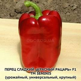 Семена перца сладкого «Красный рыцарь» X3R F1, ТМ Seminis - 10 семян