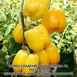 Семена перца сладкого «Марадонна» F1, ТМ Seminis - 10 семян