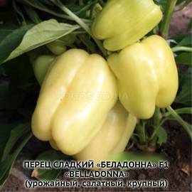 Семена перца сладкого «Беладонна» F1, ТМ Seminis - 10 семян