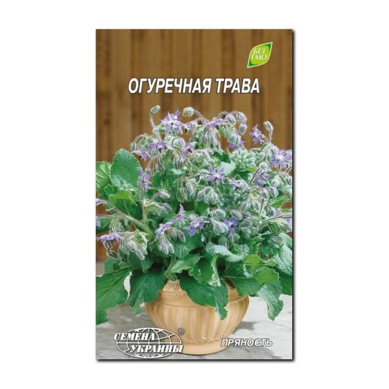 Кликните для увеличения изображения Семена огуречной травы, ТМ «СЕМЕНА УКРАИНЫ» - 1 грамм