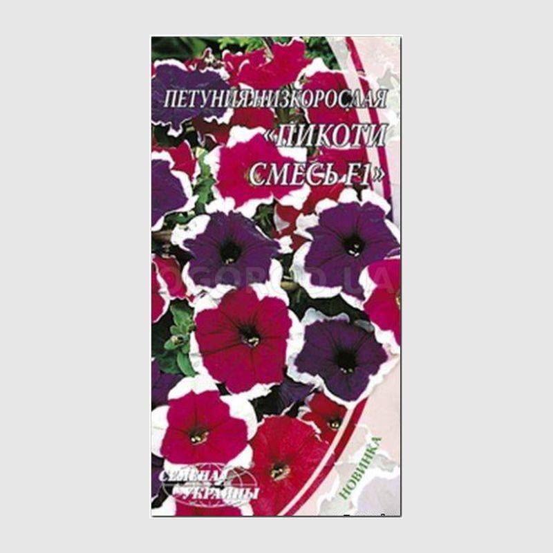 Кликните для увеличения изображения УЦЕНКА - Семена бобов «Белорусские», ТМ «Русский Огород» - 10 грамм
