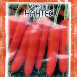 Семена моркови «Нантес», ТМ Clause - 2 грамма