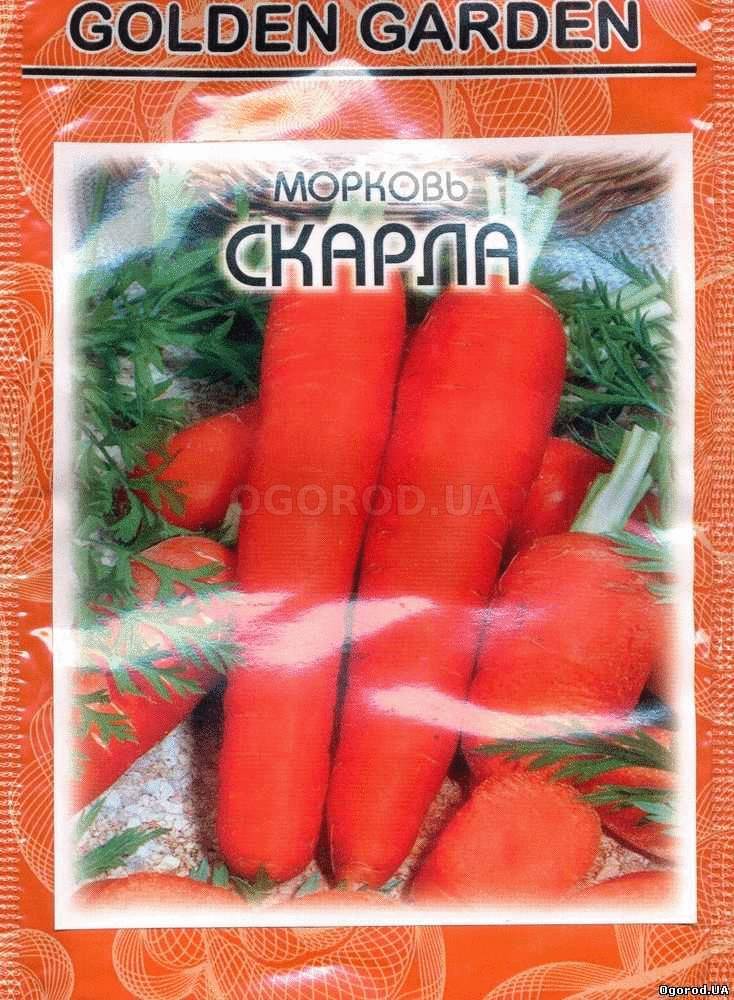 Кликните для увеличения изображения Семена моркови «Скарла», ТМ Clause Tezier - 2 грамма