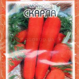 Семена моркови «Скарла», ТМ Clause Tezier - 2 грамма