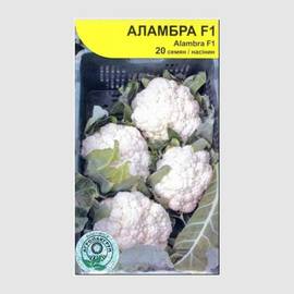 Семена капусты цветной «Аламбра» F1 / Alambra F1, ТМ Syngenta - 20 семян