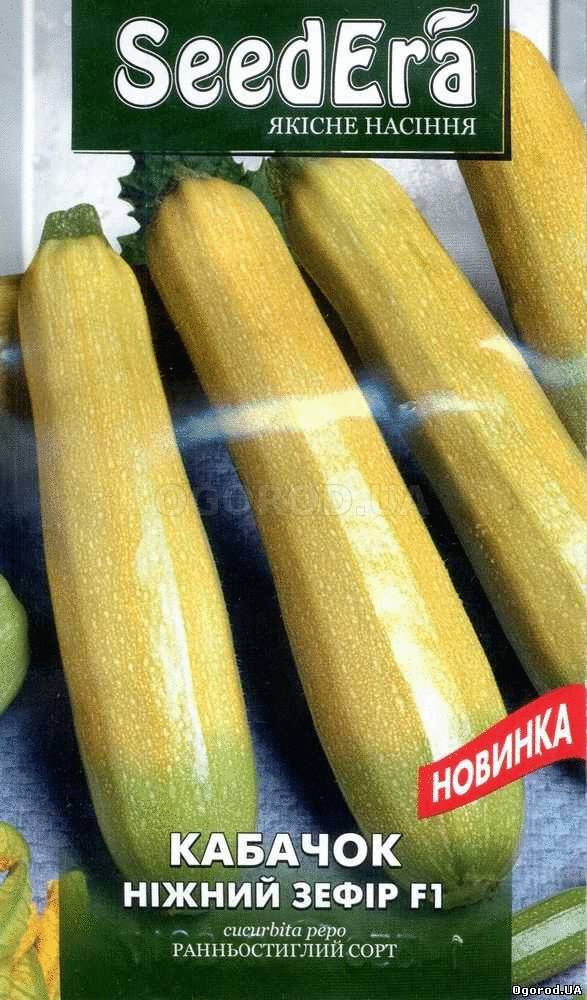 Кликните для увеличения изображения Семена кабачка «Нежный Зефир», ТМ SeedEra - 5 семян