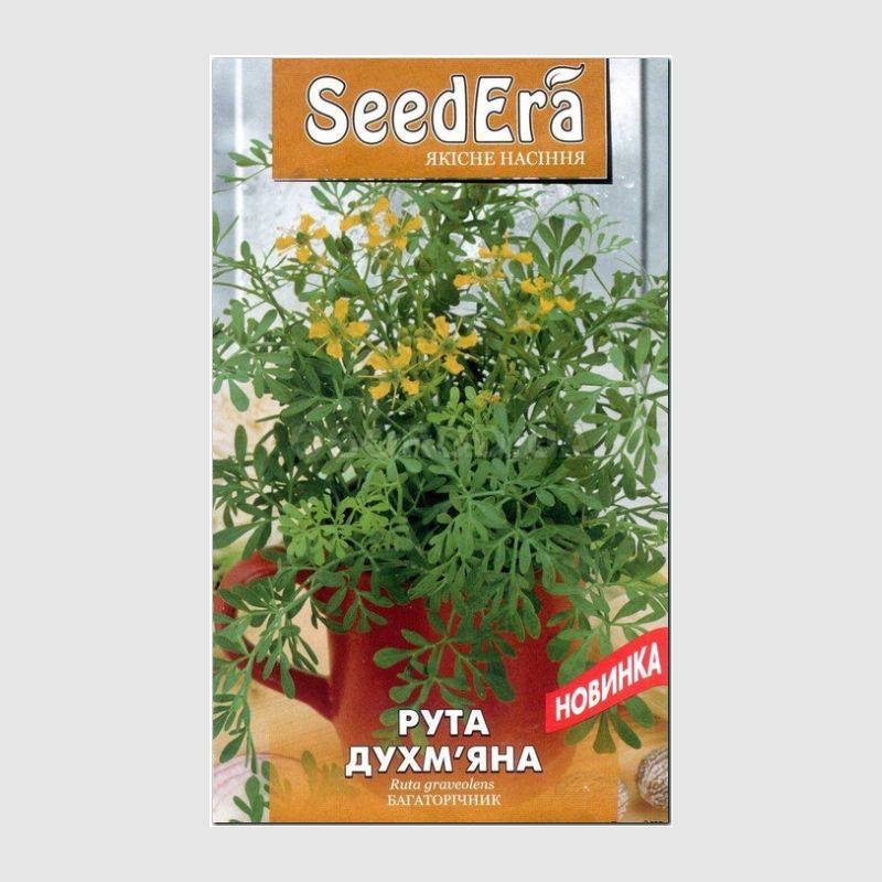 Кликните для увеличения изображения УЦЕНКА - Семена руты «Душистая», ТМ SeedEra - 0,2 грамма