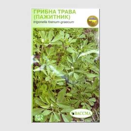 Семена грибной травы (пажитника), ТМ «ВАССМА» - 1 грамм