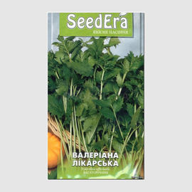 Семена валерианы «Лекарственная», ТМ SeedEra - 0,1 грамм