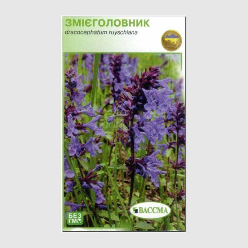Кликните для увеличения изображения Семена змееголовника, ТМ «ВАССМА» - 0,5 грамм