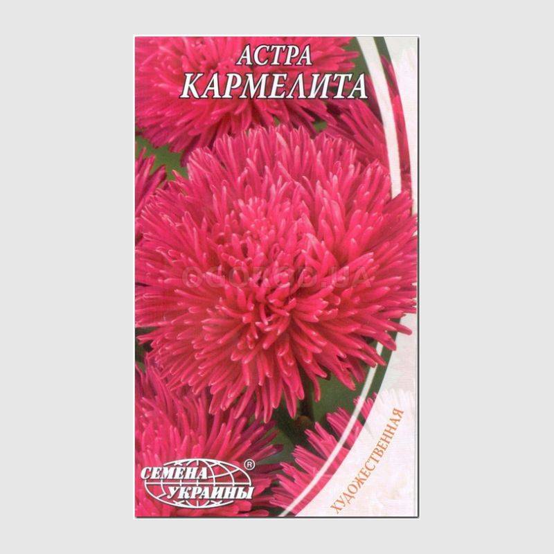 Кликните для увеличения изображения Семена астры «Кармелита», ТМ «СЕМЕНА УКРАИНЫ» - 0,3 грамма