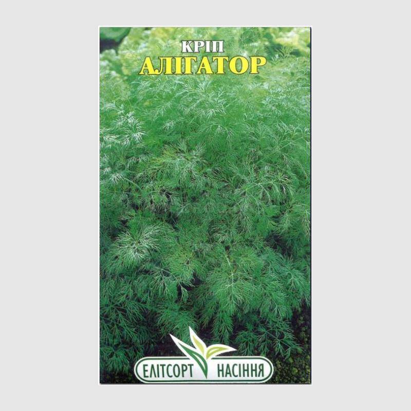 Кликните для увеличения изображения Семена укропа «Аллигатор», ТМ «Елітсортнасіння» - 3 грамма