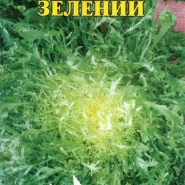 Семена салата «Эскариоль зеленый» (эндивий), ТМ «Елітсортнасіння» - 1 грамм