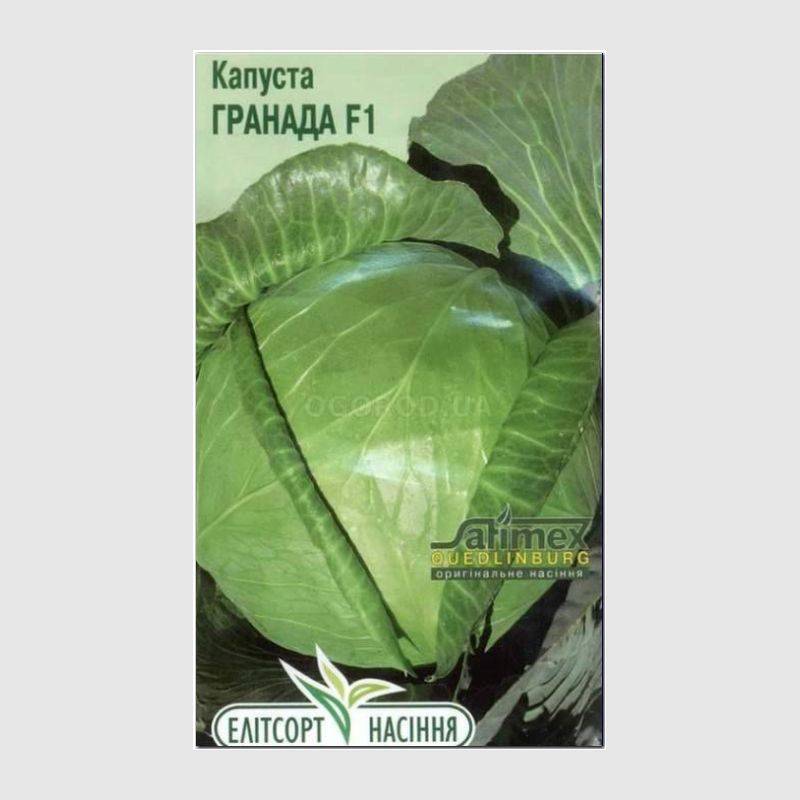 Кликните для увеличения изображения Семена капусты белокочанной «Гранада» F1, ТМ «Елітсортнасіння» - 20 семян