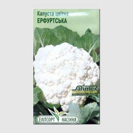 Семена капусты цветной «Эрфуртская», ТМ «Елітсортнасіння» - 0,5 грамм