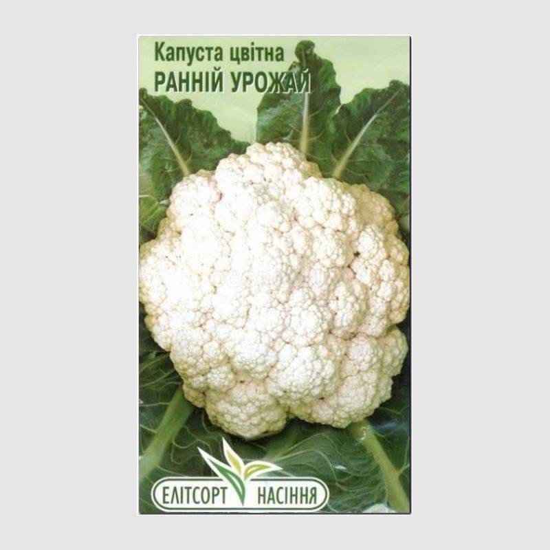 Кликните для увеличения изображения Семена капусты цветной «Ранний урожай», ТМ «Елітсортнасіння» - 0,5 грамм