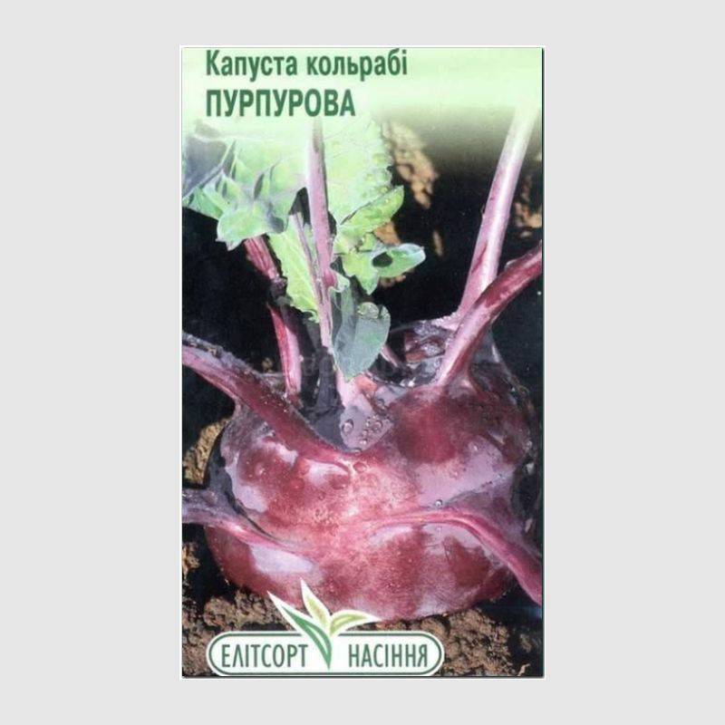 Кликните для увеличения изображения Семена капусты кольраби «Пурпурная», ТМ «Елітсортнасіння» - 0,5 грамм