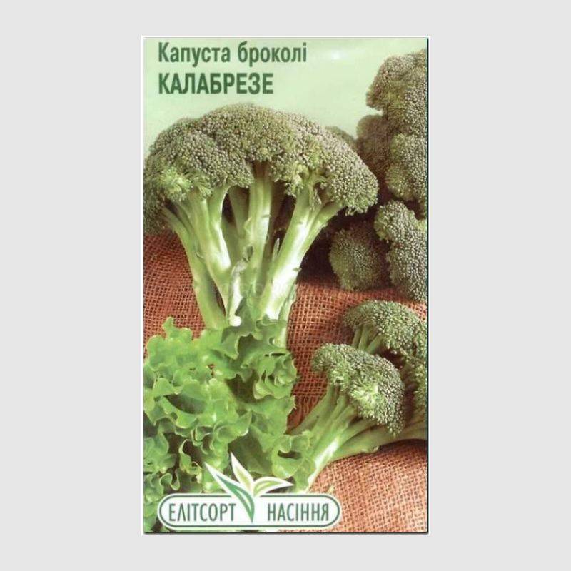 Кликните для увеличения изображения Семена капусты брокколи «Калабрезе», ТМ «Елітсортнасіння» - 0,5 грамм