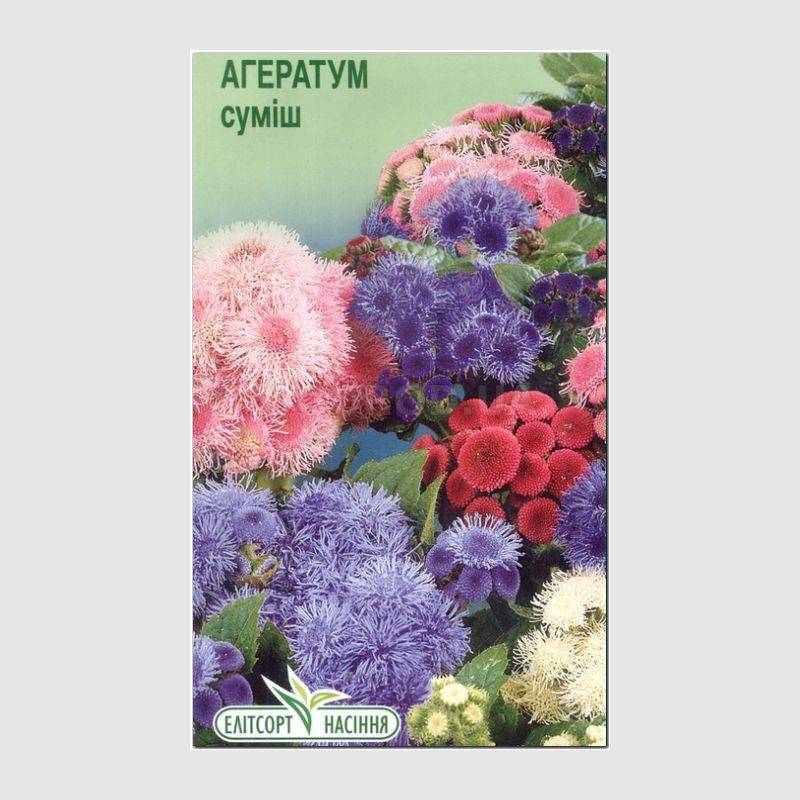 Кликните для увеличения изображения Семена агератума «Хоустон смесь», ТМ «Елітсортнасіння» - 0,1 грамм