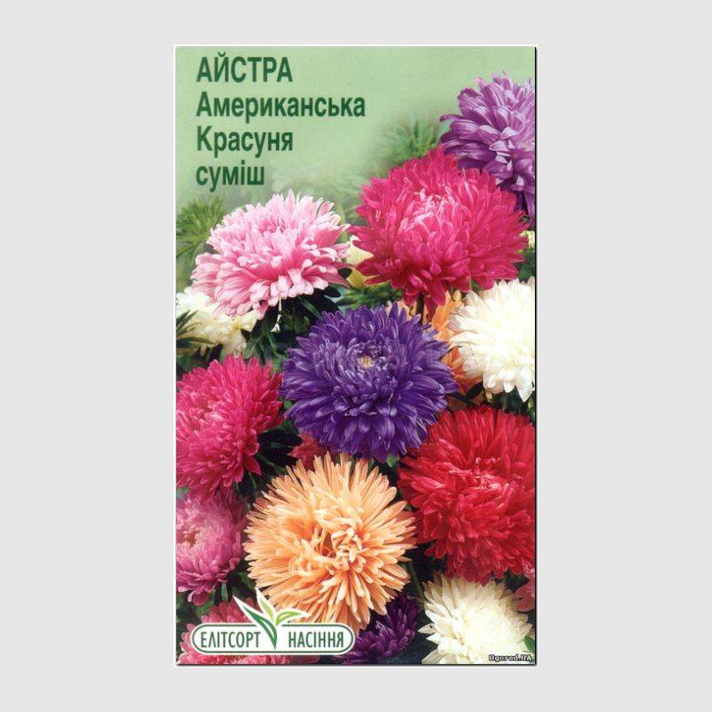 Фабрика Семян Астра Интернет Магазин Семена Почтой