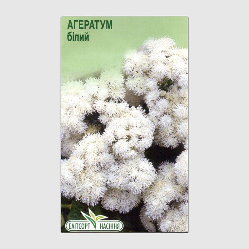 Кликните для увеличения изображения Семена агератума «Хоустон белый», ТМ «Елітсортнасіння» - 0,1 грамм