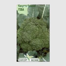 Семена капусты брокколи «Геба», ТМ «Елітсортнасіння» - 0,5 грамм