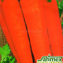 Семена моркови «Карлена», ТМ «Елітсортнасіння» - 2 грамма