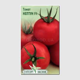 УЦЕНКА - Семена томата «Нептун» F1, ТМ «Елітсортнасіння» - 12 семян