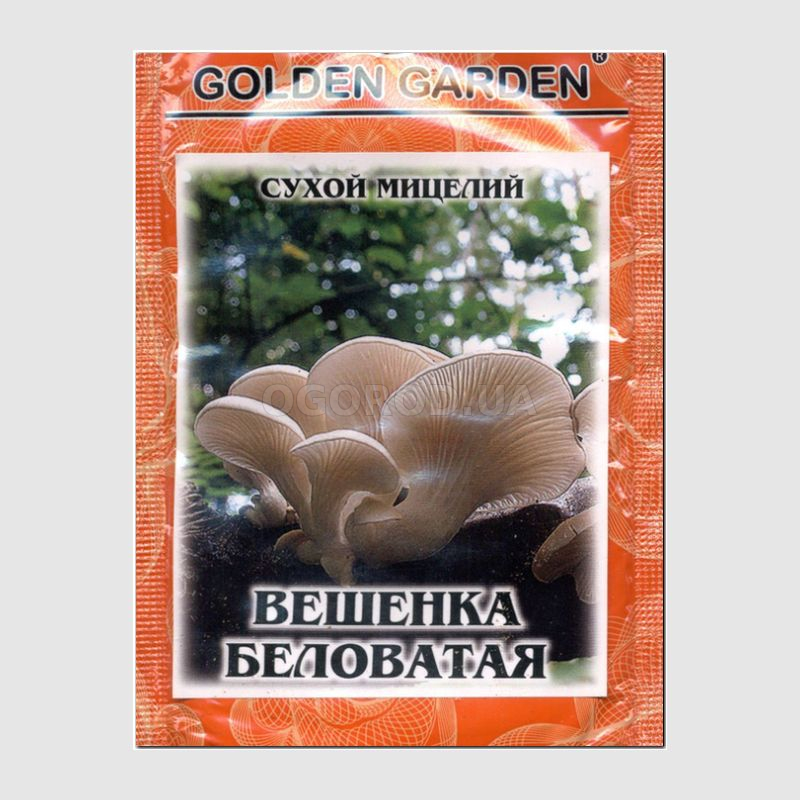 Кликните для увеличения изображения Сухой мицелий гриба «Вешанка беловатая», ТМ Golden Garden - 10 грамм