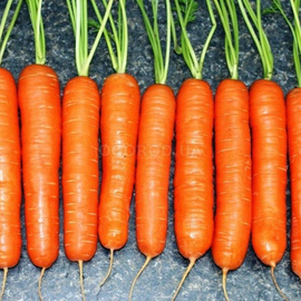 Семена моркови «Яскрава», ТМ OGOROD - 2 грамма