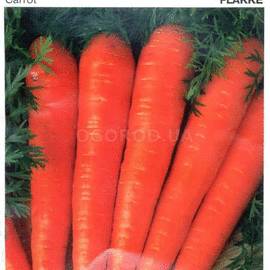 Семена моркови «Флакко», ТМ Euroseed - 3 грамма