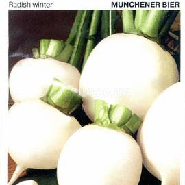 Семена редьки «Мюнхен Бир», ТМ Sais - 5 грамм