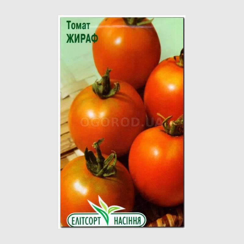 Помидоры Жираф Фото