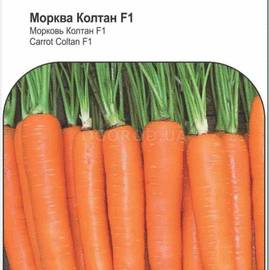 Семена моркови «Колтан» F1, ТМ Nunhems Zaden - 400 семян