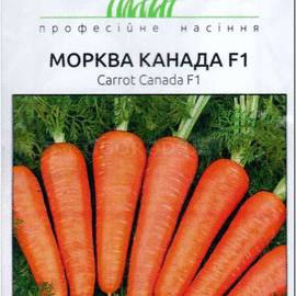 Семена моркови «Канада» F1, ТМ Bejo Zaden - 400 семян