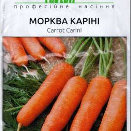 Семена моркови «Карини», ТМ Bejo Zaden - 1 грамм