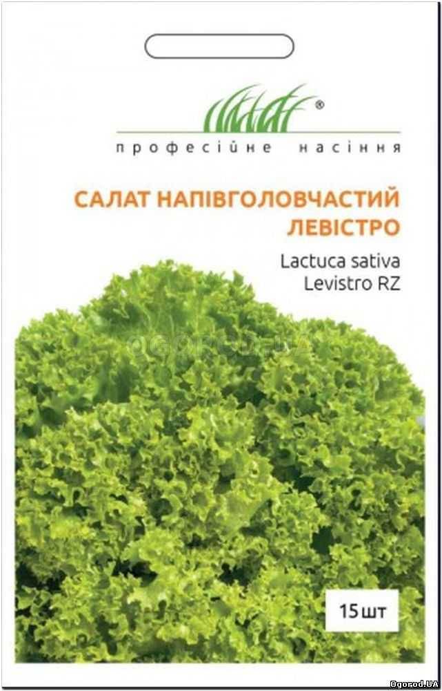 Кликните для увеличения изображения Семена салата «Левистро», ТМ Rijk Zwaan - 15 семян